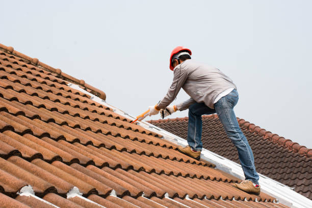 Trusted Nowthen, MN Roofing servicies Experts