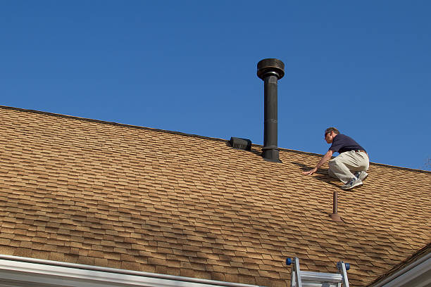 Best Roof Moss and Algae Removal  in Nowthen, MN